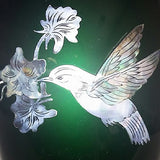 Hummingbird Mother of Pearl