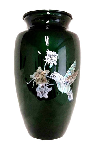 Mother of Pearl Hummingbird on green background |  Vision Medical Exclusive