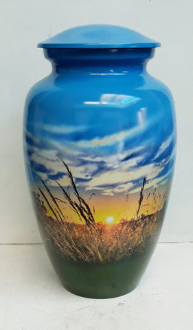 Themed Cremation Urn